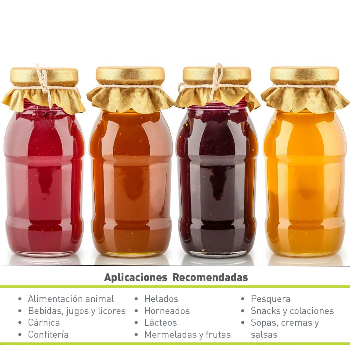 ÁCIDO CÍTRICO ANHIDRO (25 KG)