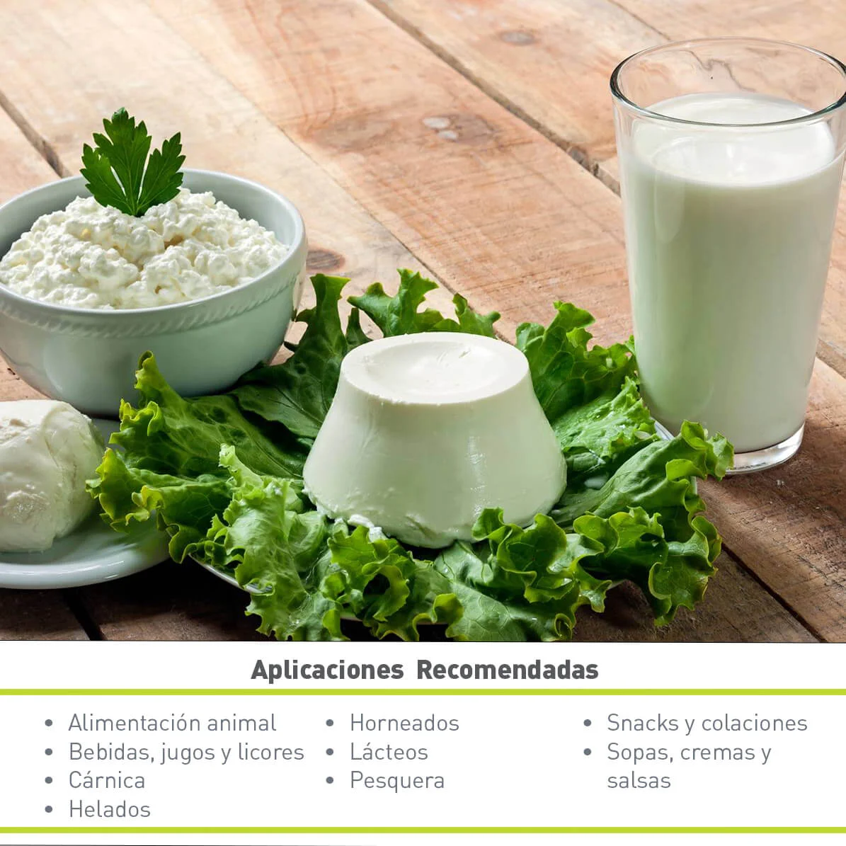 AISLADO DE PROTEÍNA DE SOYA WILPRO D210 (20 KG)