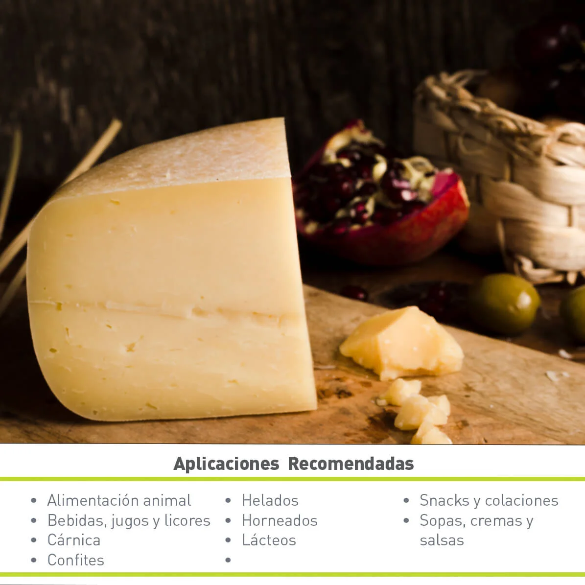 SUERO EN POLVO (25 KG)