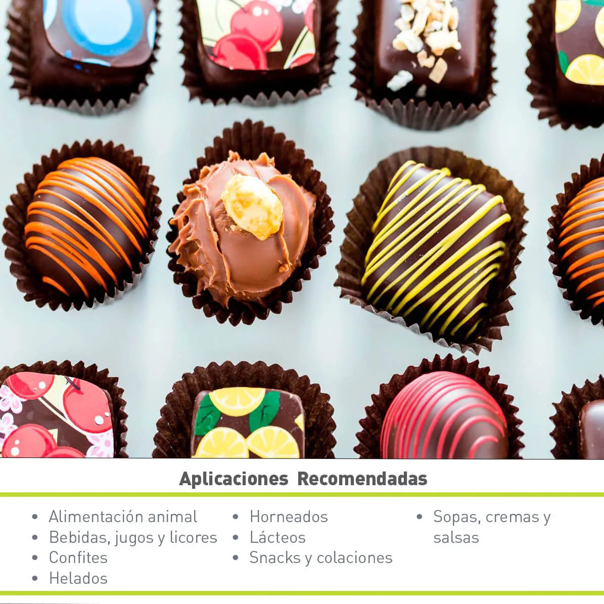 LECHE EN POLVO DESCREMADA (25 KG)