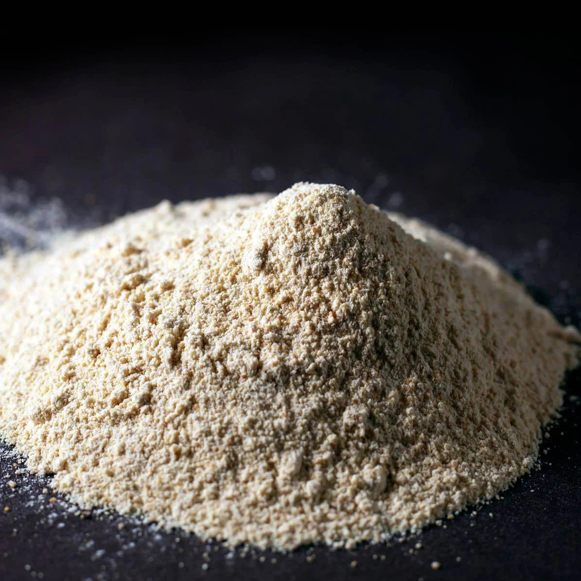 LEVADURA EXCELLENCE FR LAMOTHE ABIET (0.5 KG)