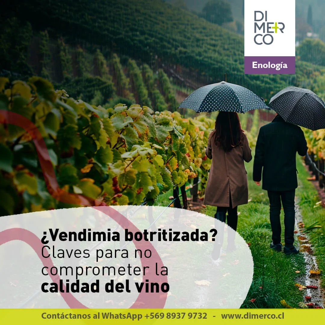 Publicación de Dimerco en redes sociales